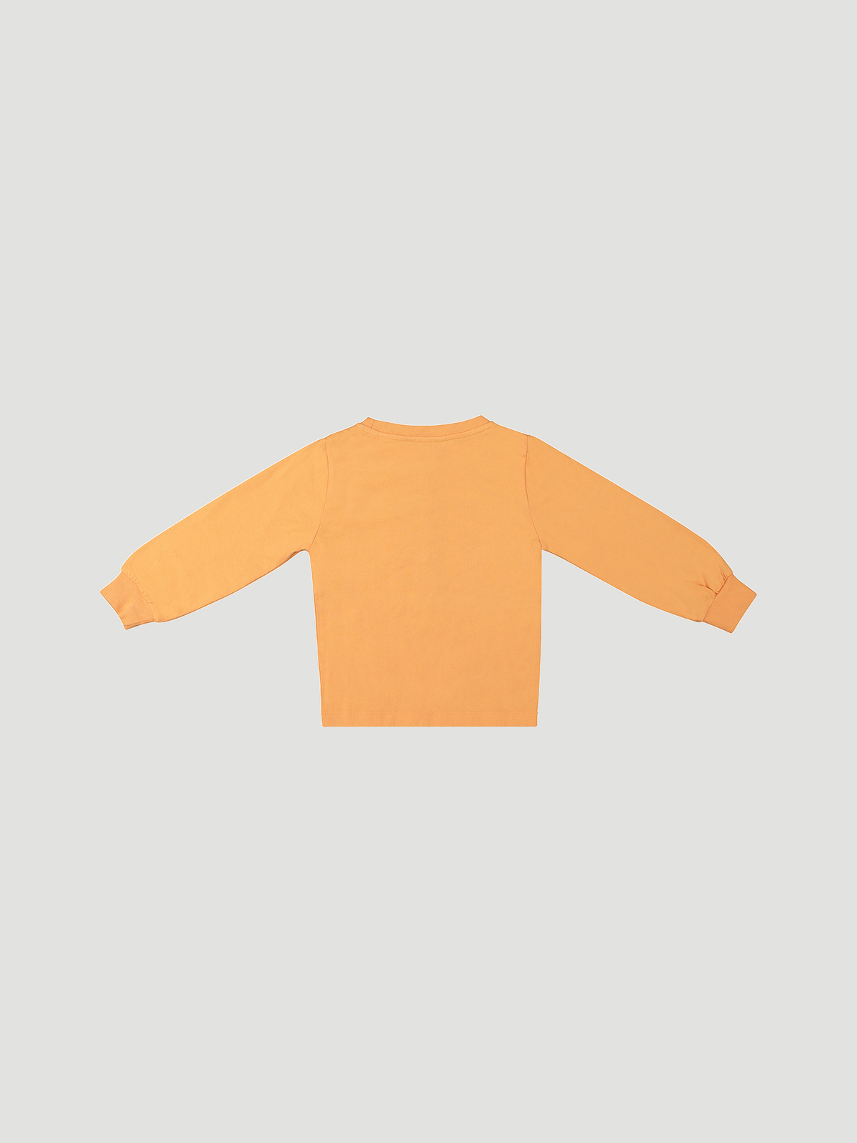 Winter Longsleeve Lt. Orange 3