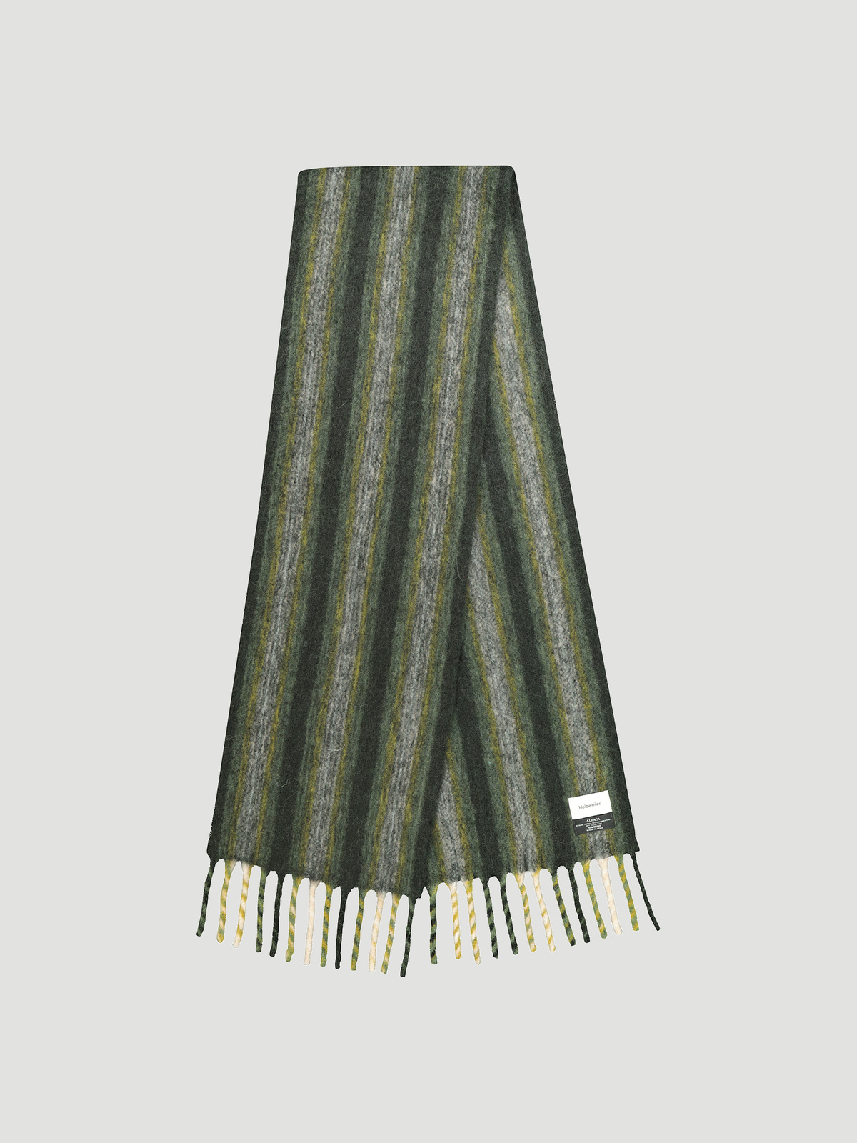 Aster Check Rome 1
