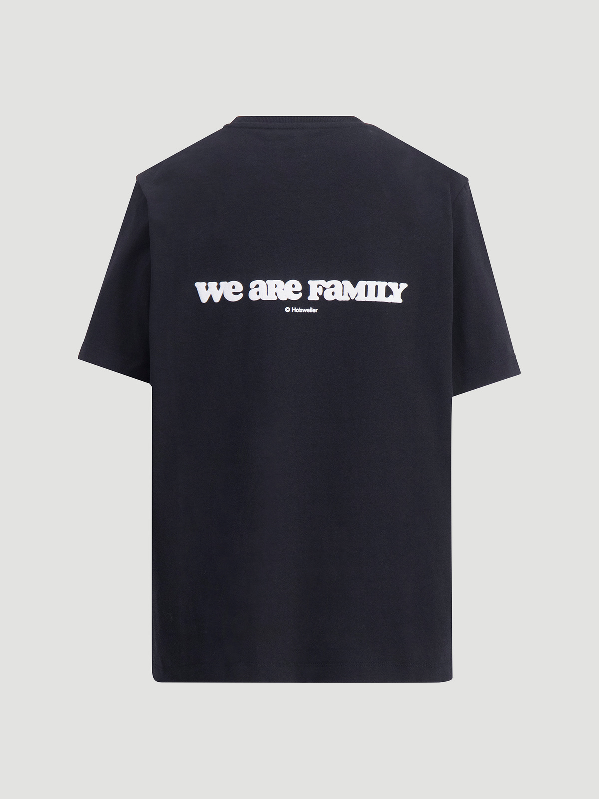 Kjerag Earth Tee Black 5