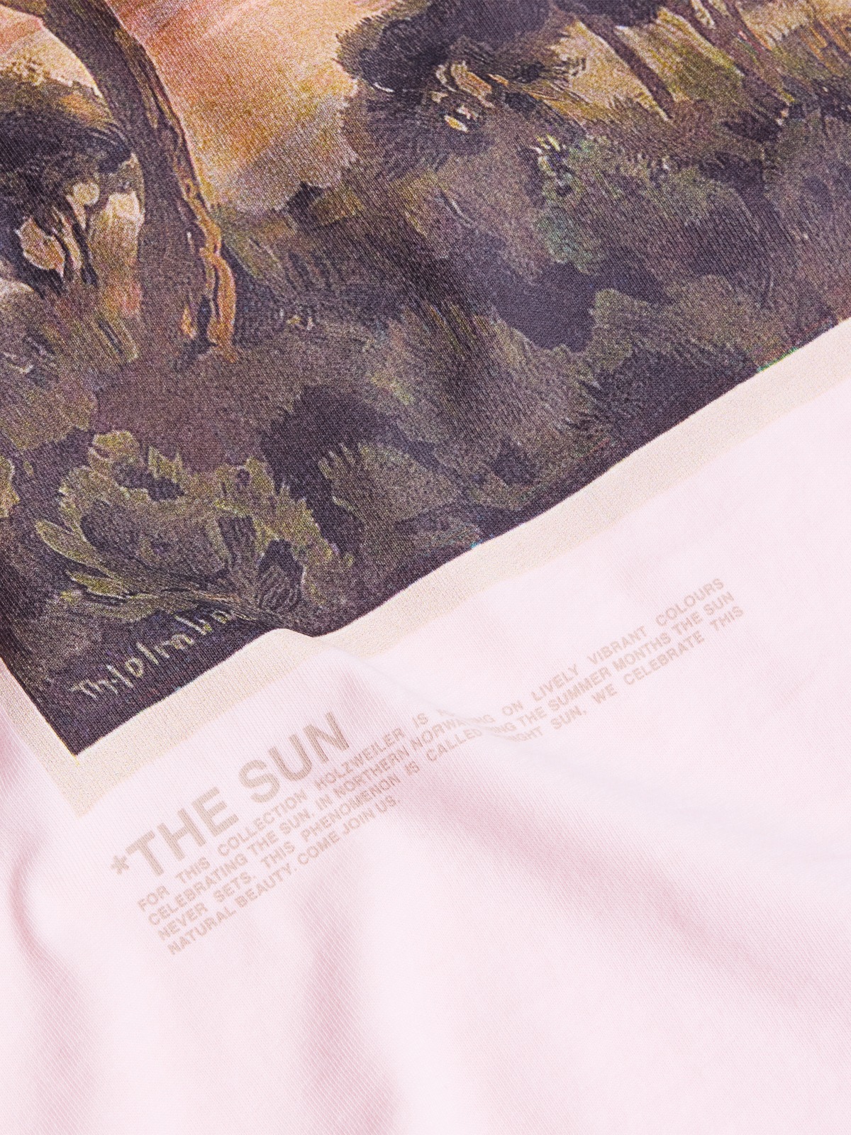 売れ筋商品|||ホルツワイラー Tシャツ レディース トップス KJERAG NATIONAL TEE - Print T-shirt - pink Kjerag National Tee - Lt. Pink - Holzweiler