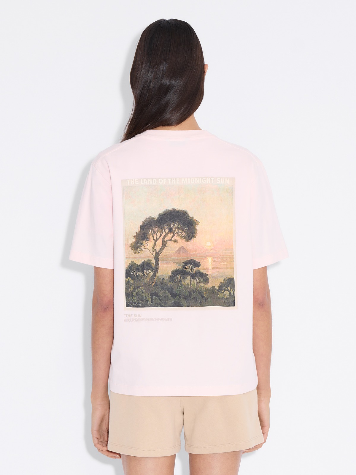 売れ筋商品|||ホルツワイラー Tシャツ レディース トップス KJERAG NATIONAL TEE - Print T-shirt - pink Kjerag National Tee - Lt. Pink - Holzweiler